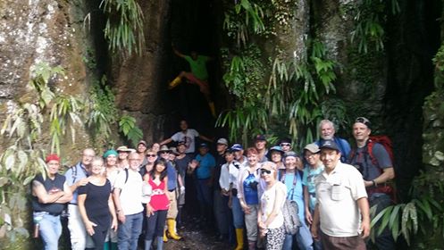 tour group in the jungle